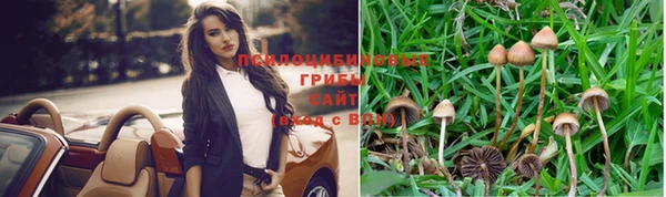 дживик Коряжма